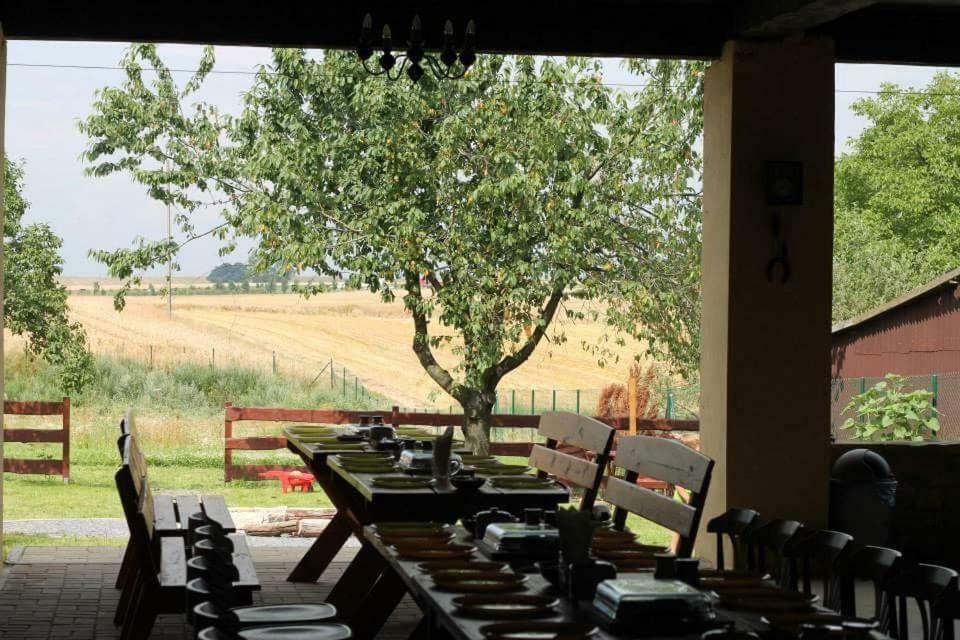 Ranczo- Czarnocin Villa Olszowa Eksteriør bilde
